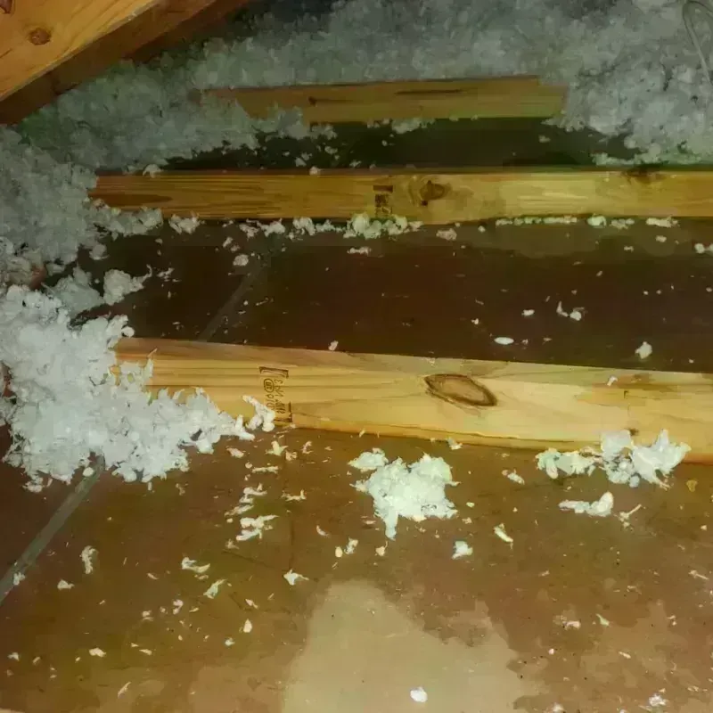 Attic Water Damage in Taylorsville, KY